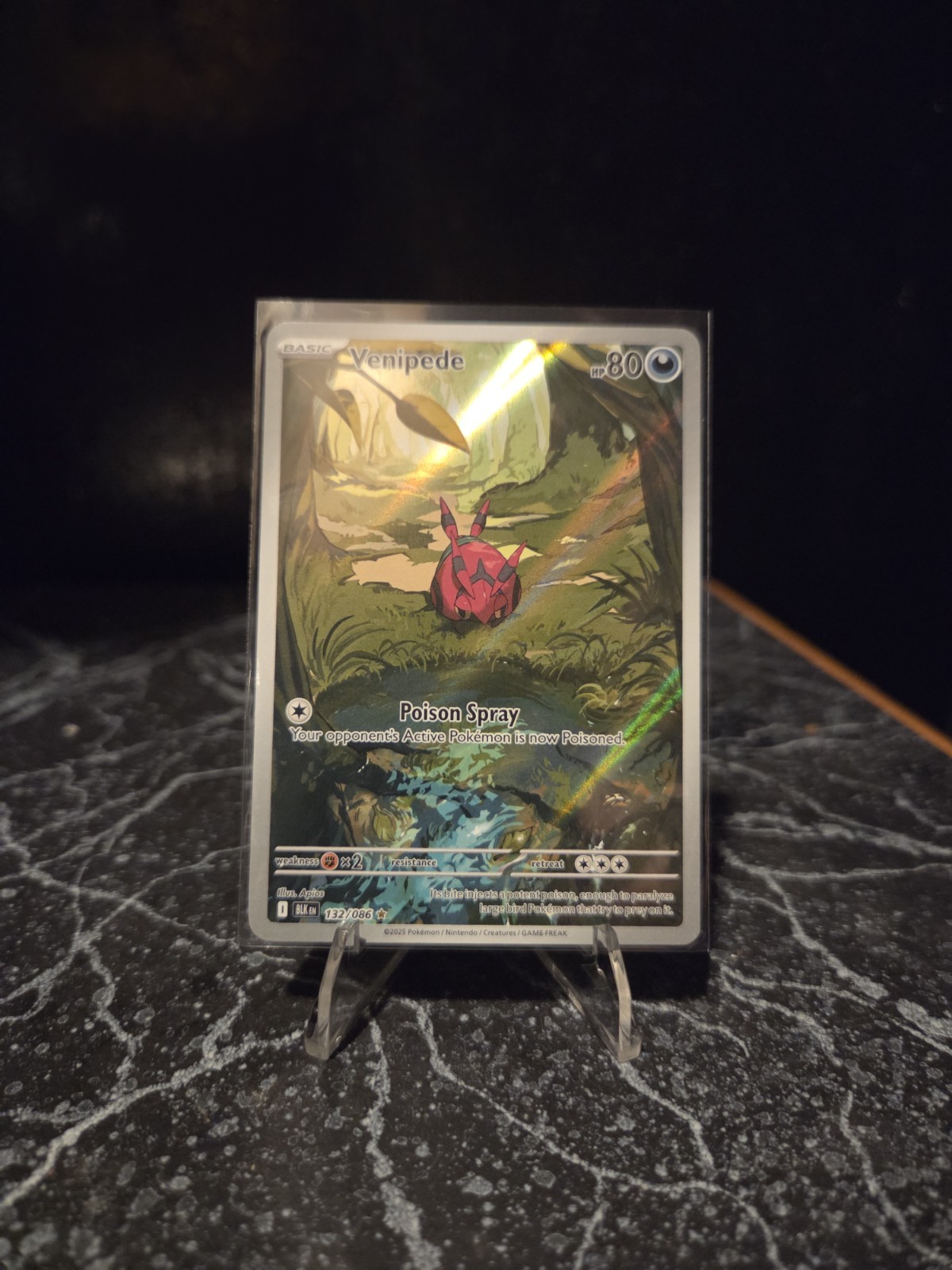 pokemon tcg japanese booster box Pokmon: Mega Dream EX Booster Box (Japanese)  PokeUnlimited