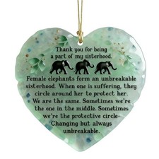 Heartfelt Elephant Sisterhood Keepsake Friendship Gift for Sisters Fri US