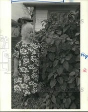 1986 Press Photo Inez Cornelius near her outdoor Poinsettias - hca50349