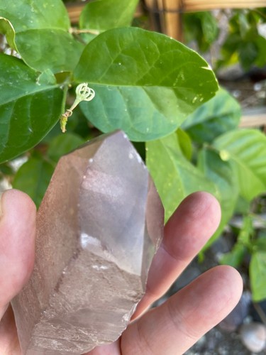 Smoky Lemurian Seed Quartz Twinned Point 199g 90mm Reiki Healing Crystal - Picture 3 of 12