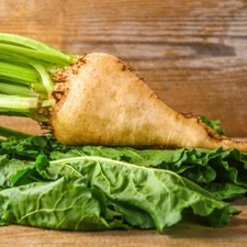 1/4 Lb Sugar Beet Seeds - Everwilde Farms Mylar Seed Packet