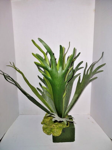 18" Artificial staghorn fern on foam cube - 第 1/3 張圖片