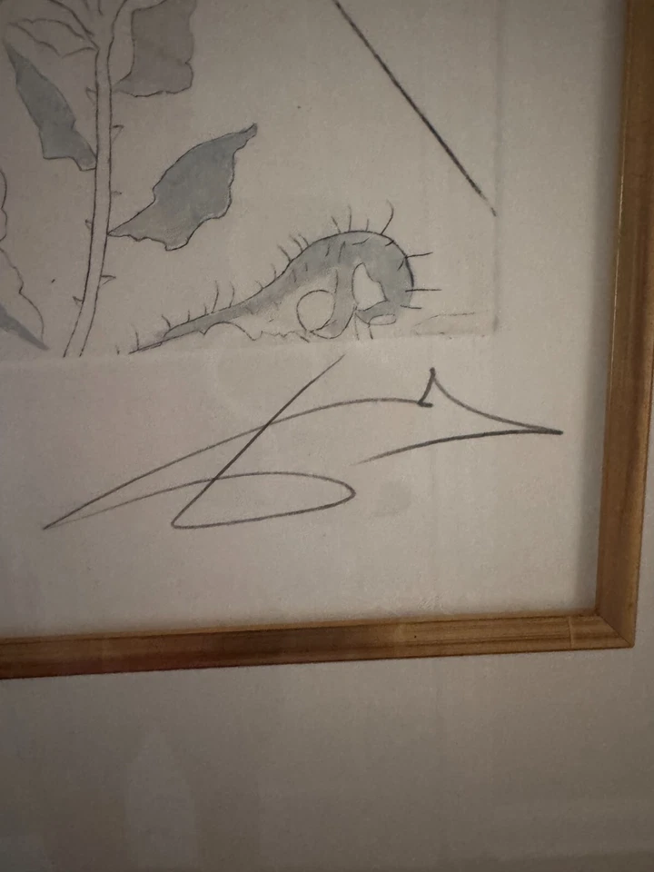 Salvador Dalí "The Hippies: Woman with Garter" 手工签名蚀刻 – 超现实主义者 — 第 2/4 张图片