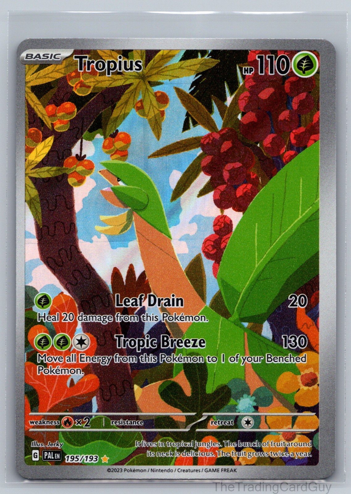 Tropius Illustration Rare SV02: Paldea Evolved Holo 195/193 NM