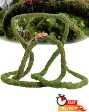 6.5FT Bendable Moss Vine Reptile Climbing Decor Terrarium Habitat Accessory