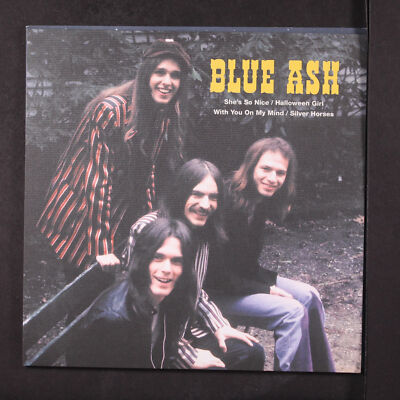BLUE ASH: she's so nice +3 YOU ARE THE COSMOS 7'' Single 45 RPM Spain