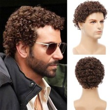 Short Brown Color Cosplay Short Hair Afro Curly Wig Synthetic Hair Men's Wig US