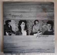 The Typicals Popscreams LP Boston Private Label Power Pop Dollyrocker 1989 MINT