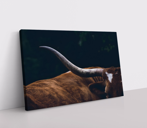 Longhorn Kuh Abstrakt Wandbild Kunstdruck auf Leinwand | Texas Cattle Ranch Dekor - Bild 2 von 12