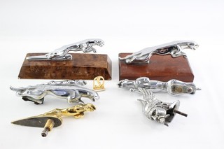 Automobilia Hood Ornament Collection Jaguar Hermes Etc
