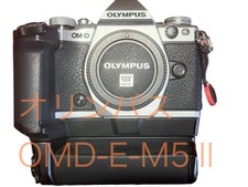 Olympus OM-D E-M5 II Mirrorless Camera with Battery Grip Used From Japan