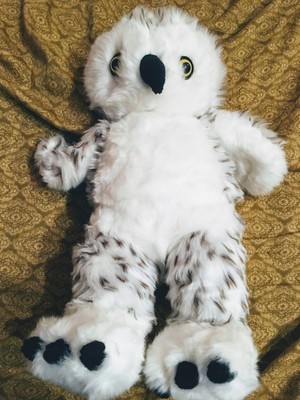 hedwig teddy bear