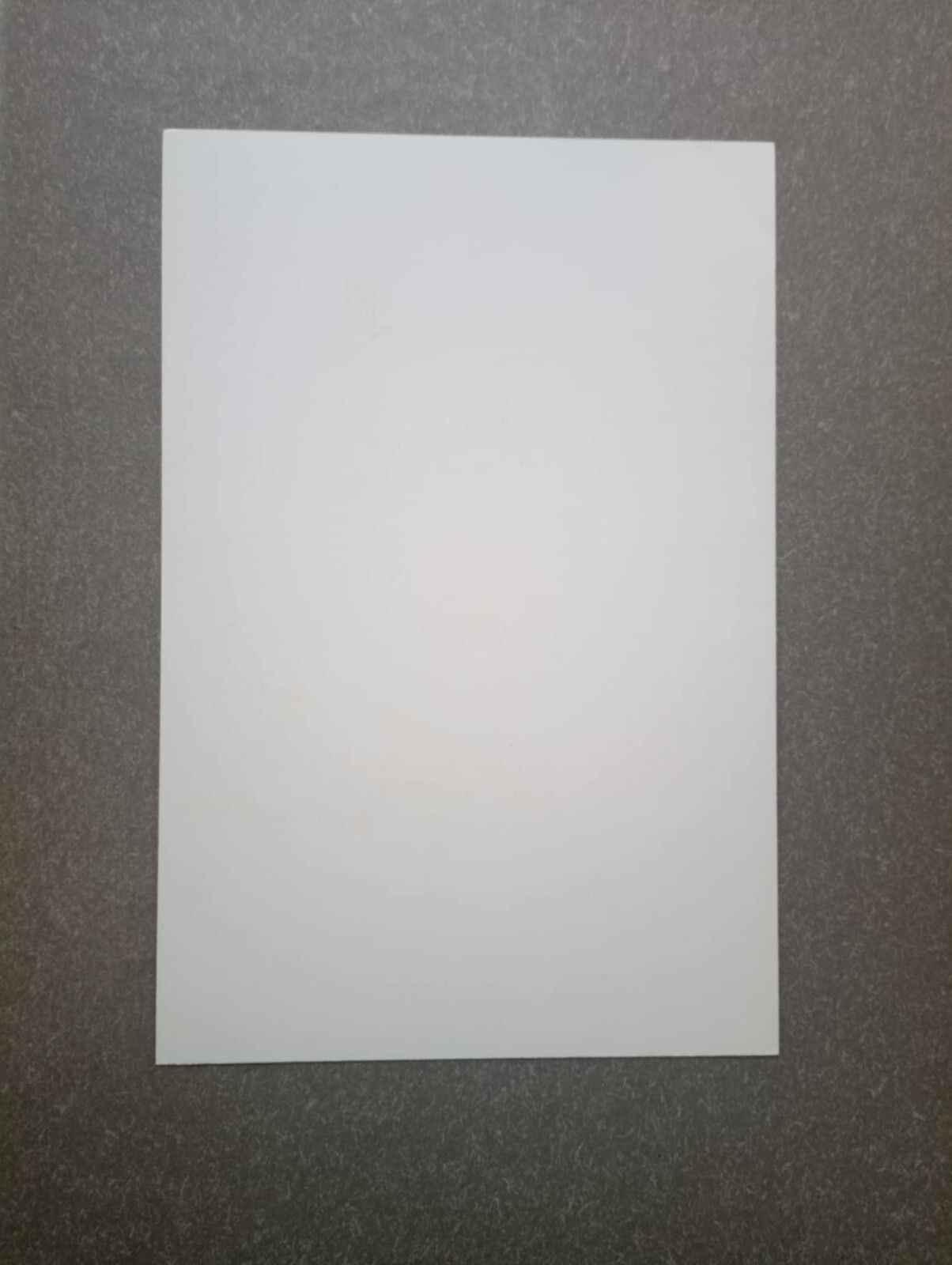 Bild 231 von 275