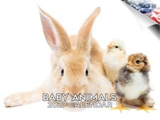 Baby Animals 2027 Wall Calendar Dog Breed Pet Cute 14 Month 12x9 Monthly Planner