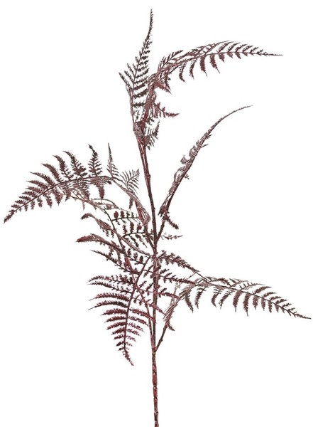 Artplants KüNstlicher Asparagus Plumosus Zweig Giona, Dunkelrot, 85Cm-image