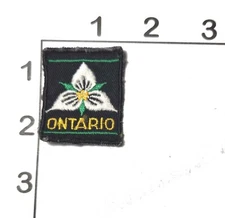 Trillium Ontario Patch Canada Boy Scouts Vintage Embroidered Souvenir Uniform