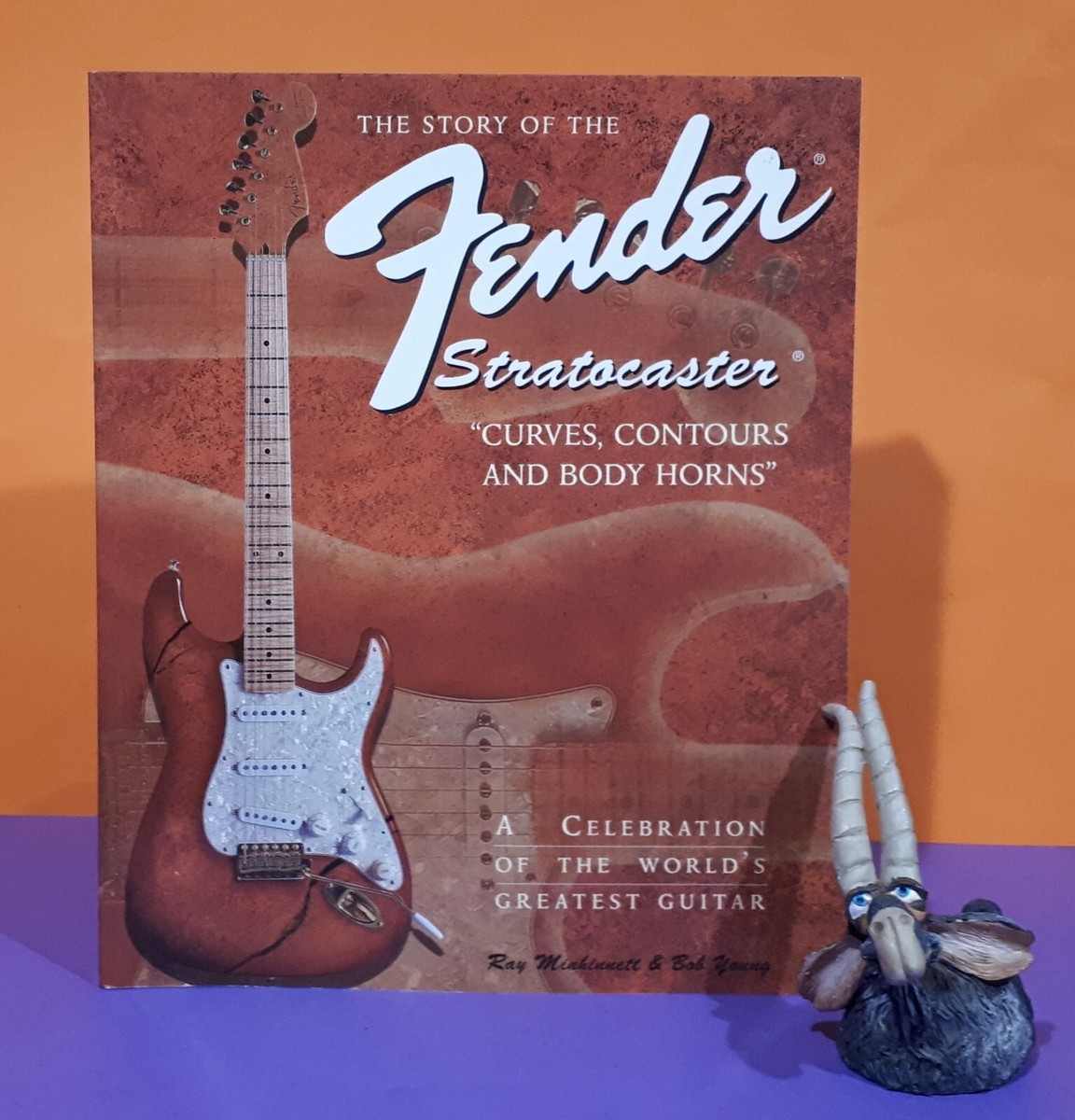 Ray Minhinnett: The Story of the Fender Stratocaster/guitars