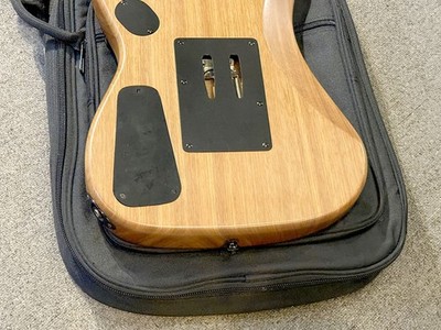 Washburn N2 Tattoo Nuno Bettencourt Signature | eBay