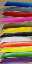 Trueflight Feathers - Full Length Solid - Dozen count