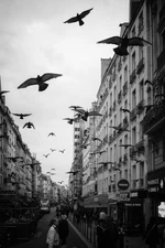 Fine Art Photography - 4x6, 8x12, or 13x19 - Paris, France Notre Dame