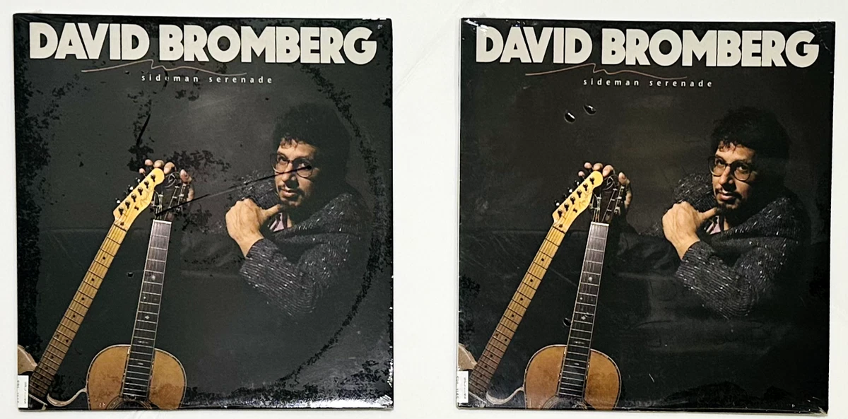 その他 Phoebe  & David Bromberg [DVD] david bromberg products for sale | eBay