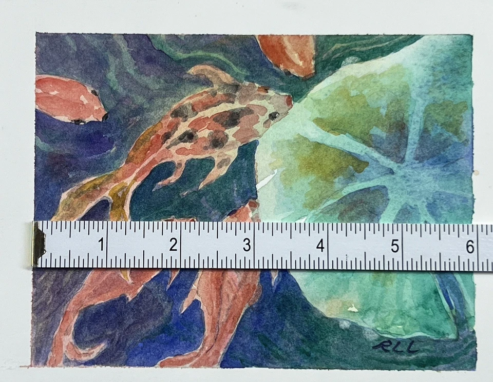 "Pintura acuarela original de Roberta Larson Koi comiendo repollo 6x8"" bellas artes" Foto 4 de 4