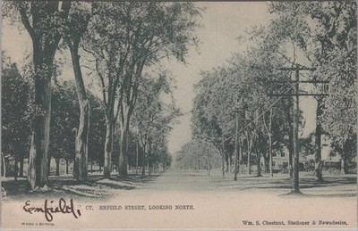 Enfield Street CT 1906 Raphael Tuck Tree Lined Postcard