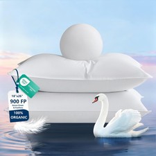 Goose Feather Down Pillows Standard Size Set of 2, Ultra Soft 700 TC Organic ...