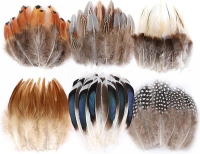 Natural Pheasant Craft Feathers - 240 pcs 6 Style Mixed 6 inches,