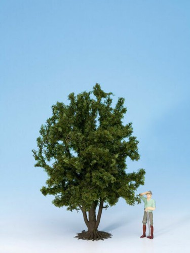 CSN Noch 26328 - 25 Abeti con la neve - Alberi