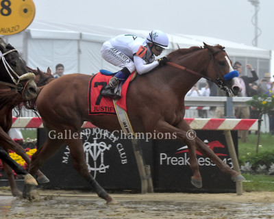 Justify 2018 Preakness Stakes Finish Photo 8'' x 10 - 24'' x 30'' 