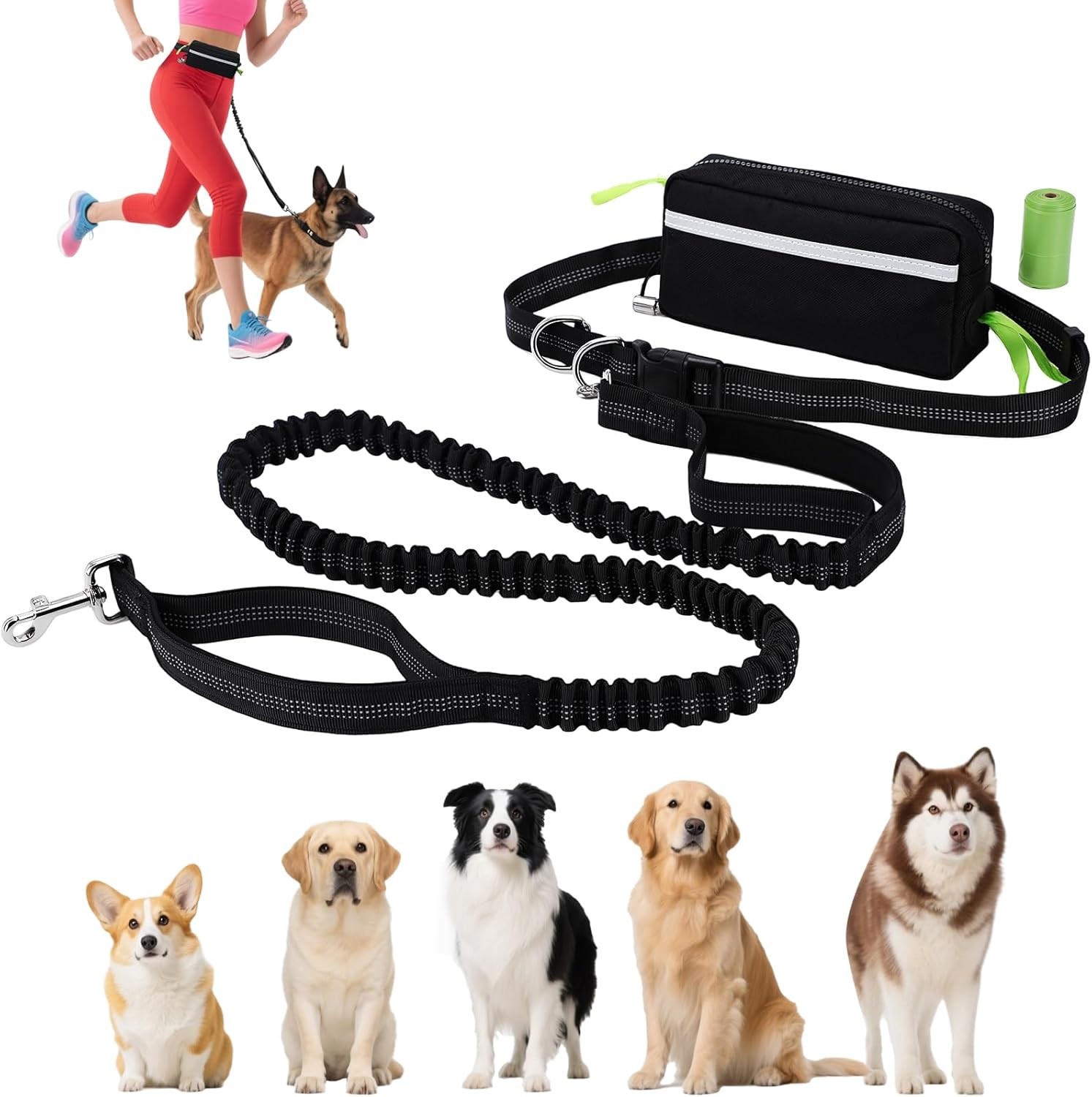 Hands Free Dog Lead with Waist Pack – 1.6m to 2.2m Elastic Bungee Leash for