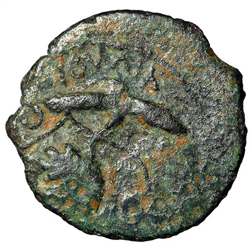 Valerius Gratus, Judean Procurator AE Prutah "Grape Bunch on Leaves / Amphora" - Afbeelding 2 van 5