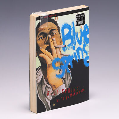 Blue Spring by Taiyo Matsumoto; G+ | eBay