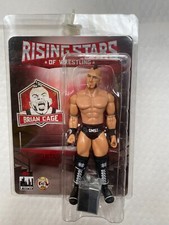 RISING STARS OF WRESTLING SERIES BRIAN CAGE ACTION FIGURE FIGURES TOY COMPANY