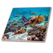 3drose Sea Turtles Ceramic Tile, 6-Inch