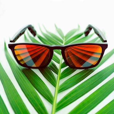 Smart Sunglasses Darkside | eBay