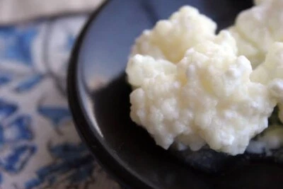 Kefir Grains In Melbourne Region Vic Miscellaneous Goods Gumtree Australia Free Local Classifieds