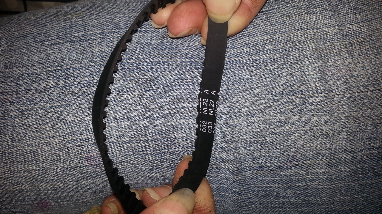 ELECTROLUX 26331502 Toothed Vacuum Cleaner Belt eBay