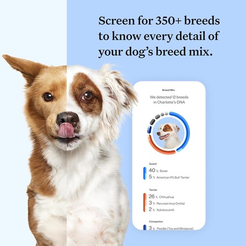 Wisdom Panel Breed Discovery Dog DNA Test Kit - Most Accurate Breed ID MDR1 Anc - Picture 3 of 6