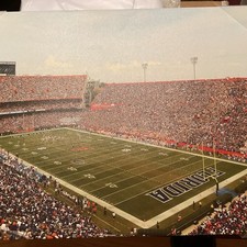FLORIDA GATORS NFL Canvas Of SEAHAWKS. Park . 17/12 X21