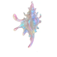 Seashell Hair Claw Clip Ocean Style Hair Accessory Unique Gift for Women