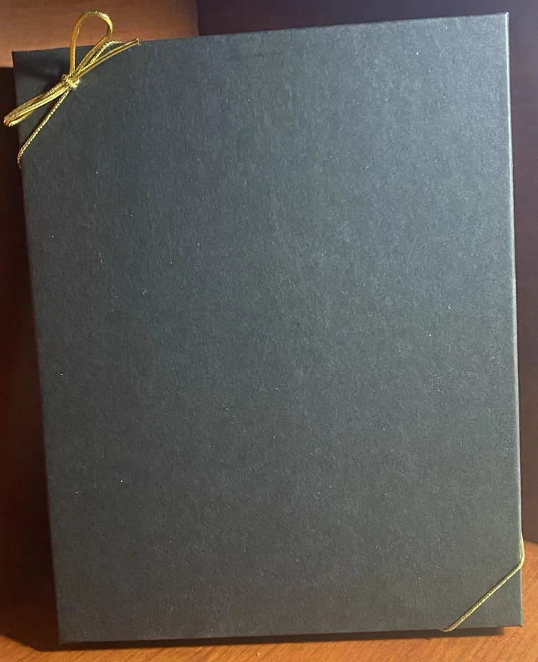 GIDEONS BAKEHOUSE STAINED GLASS 黑色 CAT MOON CATCHER LE 500 全新带盒 — 第 4/4 张图片