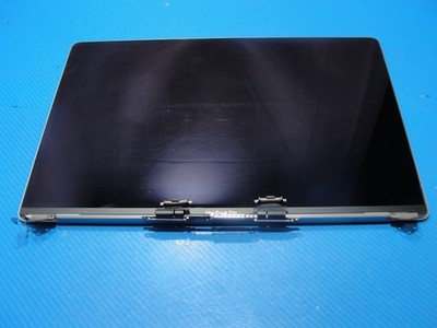 MacBook Pro 16'' A2141 Late 2019 MVVJ2LL/A LCD Screen Assembly Gray 661-14200