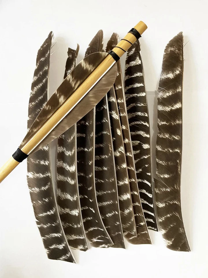 50X Full Length Arrow Feathers Turkey Fletches Fletching RW LW Archery Shaft DIY - Image 2 of 4