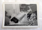 Long Hair Girl in Profile Saw Birthday Cake Out of Frame Arms Odd Snapshot Photo — photo 1