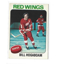 1975-76 O-Pee-Chee #67 Bill Hogaboam VG