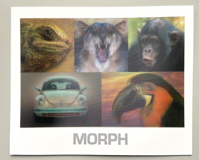 Lentikular Werbekarte MORPH   3D   3-D, aufgeklebt