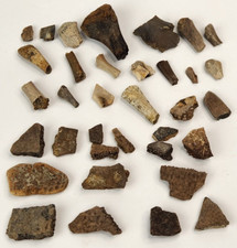 Turtle Fossil Shell, Limb Bones - Bulk Lot - Hell Creek Fm. - Wibaux Co., MT