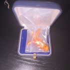 Cheeto Baby Jesus Shaped Piece in Plastic Bag w/ Blue Small Jewelry Box — photo 4